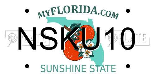 NSKU10 Florida License Plate