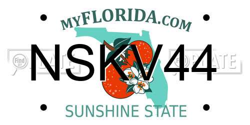 NSKV44 Florida License Plate
