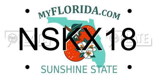 NSKX18 Florida License Plate