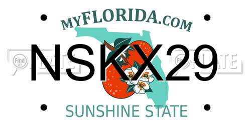 NSKX29 Florida License Plate