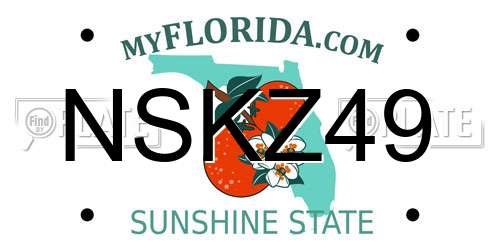 NSKZ49 Florida License Plate