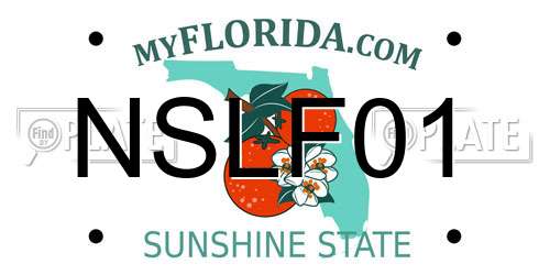 NSLF01 Florida License Plate