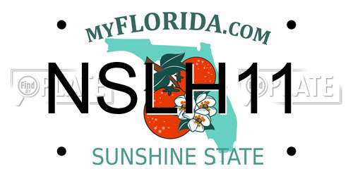NSLH11 Florida License Plate