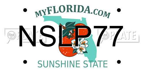 NSLP77 Florida License Plate