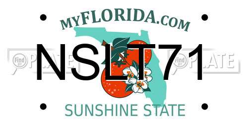 NSLT71 Florida License Plate