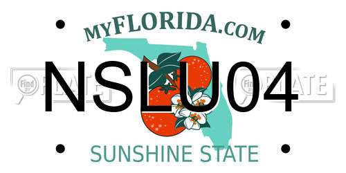 NSLU04 Florida License Plate