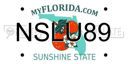 NSLU89 Florida License Plate