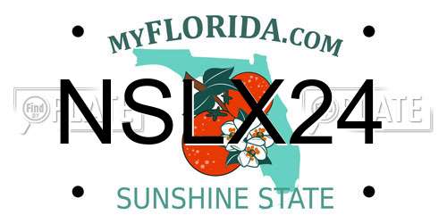 NSLX24 Florida License Plate