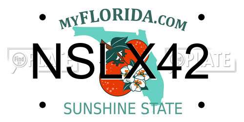 NSLX42 Florida License Plate
