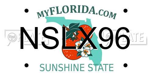 NSLX96 Florida License Plate