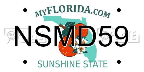 NSMD59 Florida License Plate