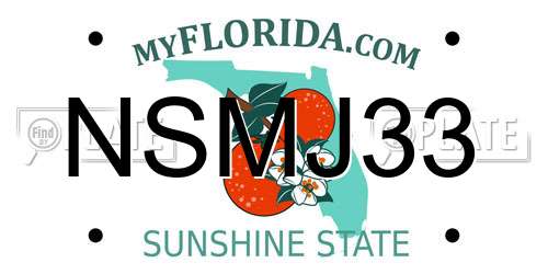 NSMJ33 Florida License Plate