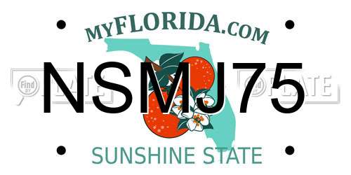 NSMJ75 Florida License Plate
