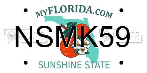 NSMK59 Florida License Plate