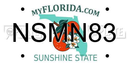 NSMN83 Florida License Plate