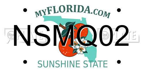 NSMQ02 Florida License Plate