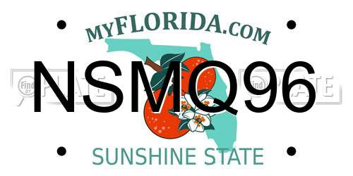 NSMQ96 Florida License Plate