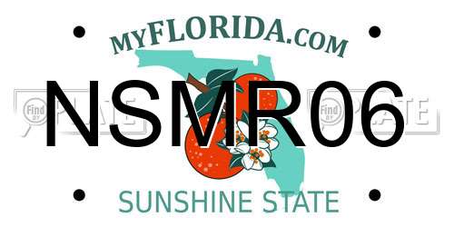 NSMR06 Florida License Plate