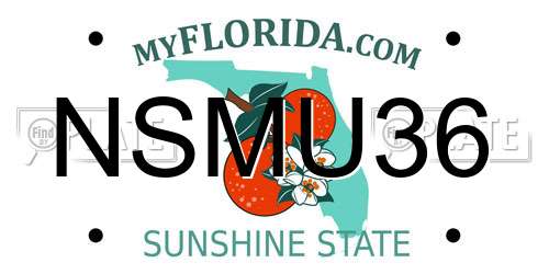 NSMU36 Florida License Plate