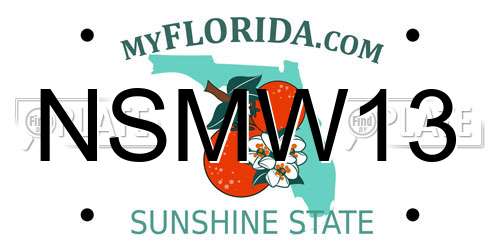 NSMW13 Florida License Plate