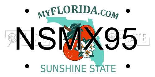 NSMX95 Florida License Plate