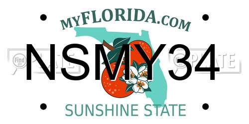 NSMY34 Florida License Plate