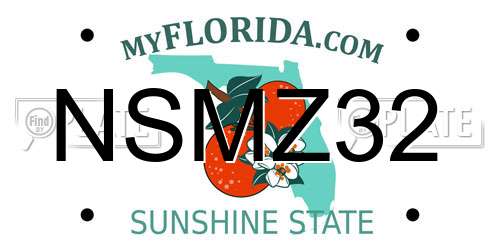 NSMZ32 Florida License Plate