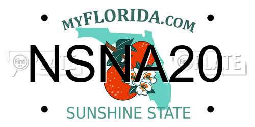 NSNA20 Florida License Plate