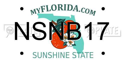NSNB17 Florida License Plate