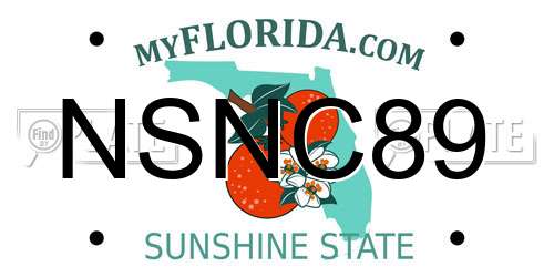 NSNC89 Florida License Plate