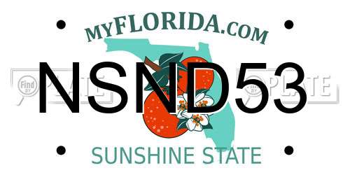 NSND53 Florida License Plate