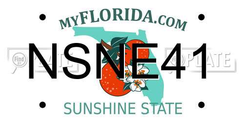 NSNE41 Florida License Plate