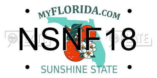 NSNF18 Florida License Plate