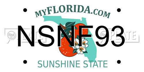 NSNF93 Florida License Plate
