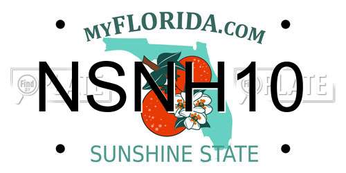 NSNH10 Florida License Plate