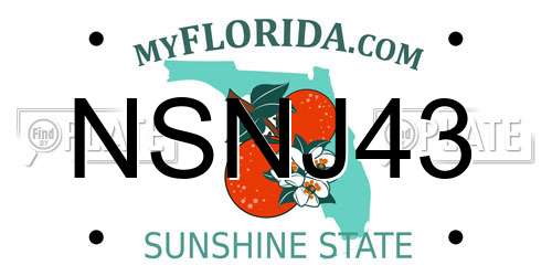 NSNJ43 Florida License Plate
