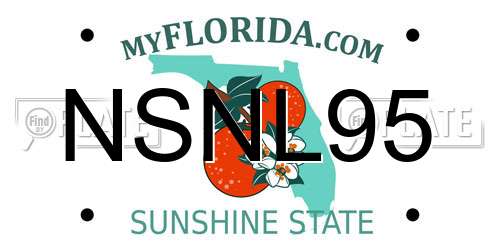 NSNL95 Florida License Plate