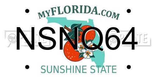 NSNQ64 Florida License Plate