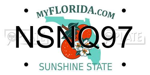 NSNQ97 Florida License Plate