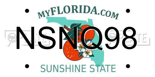 NSNQ98 Florida License Plate