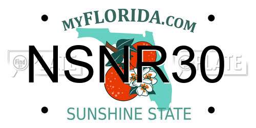 NSNR30 Florida License Plate