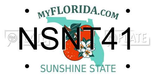 NSNT41 Florida License Plate
