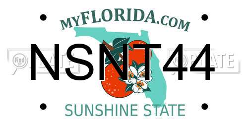 NSNT44 Florida License Plate