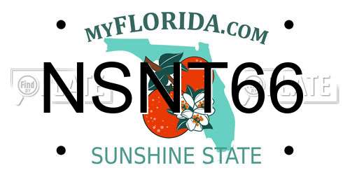 NSNT66 Florida License Plate