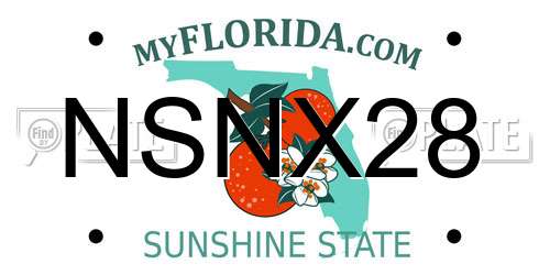 NSNX28 Florida License Plate