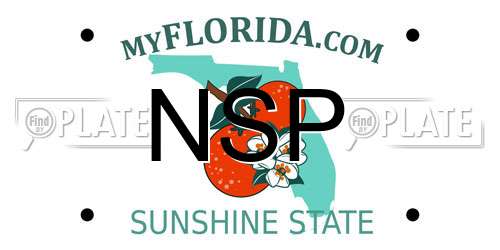 NSP Florida License Plate