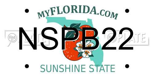 NSPB22 Florida License Plate