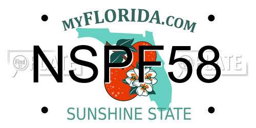 NSPF58 Florida License Plate