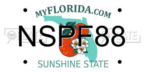 NSPF88 Florida License Plate