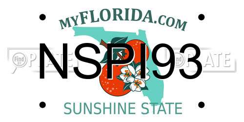 NSPI93 Florida License Plate